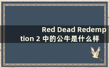 Red Dead Redemption 2 中的公牛是什么样的公牛（Red Dead Redemption Online 中公牛的位置）